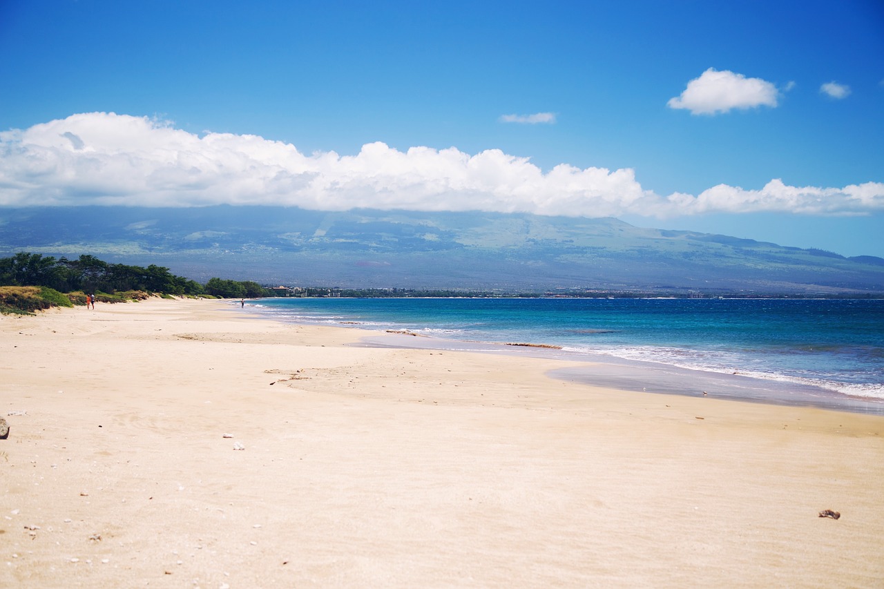 beach sand shore free photo