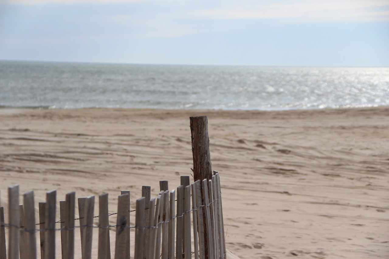 beach serene ocean free photo