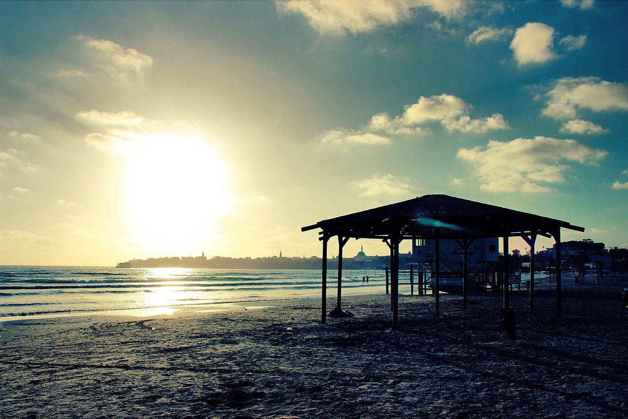 beach sand shore free photo