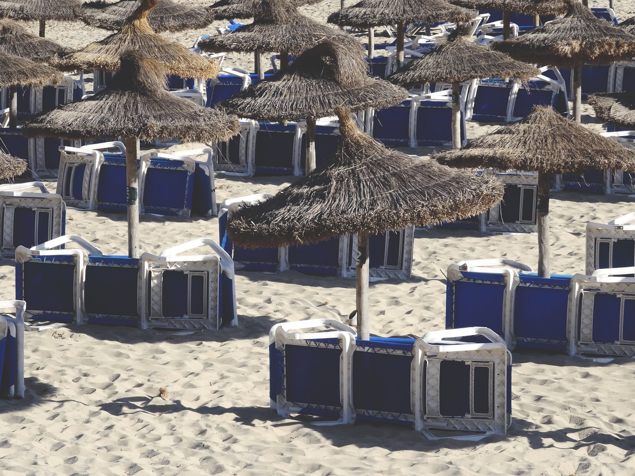 beach sand lounge chairs free photo
