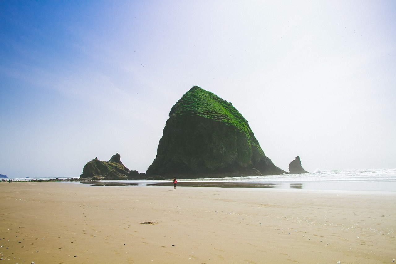 beach sand shore free photo