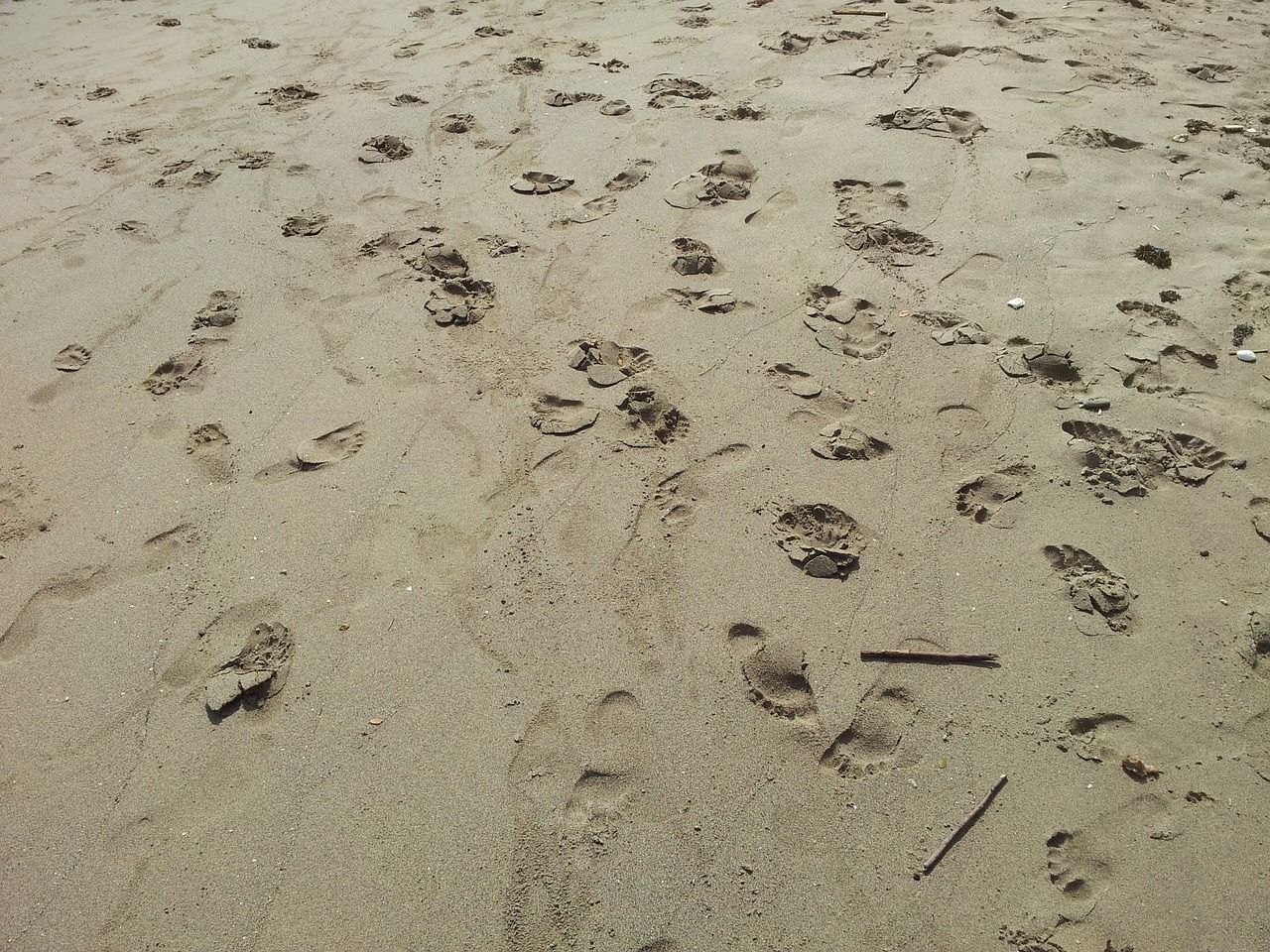 beach foot walk free photo