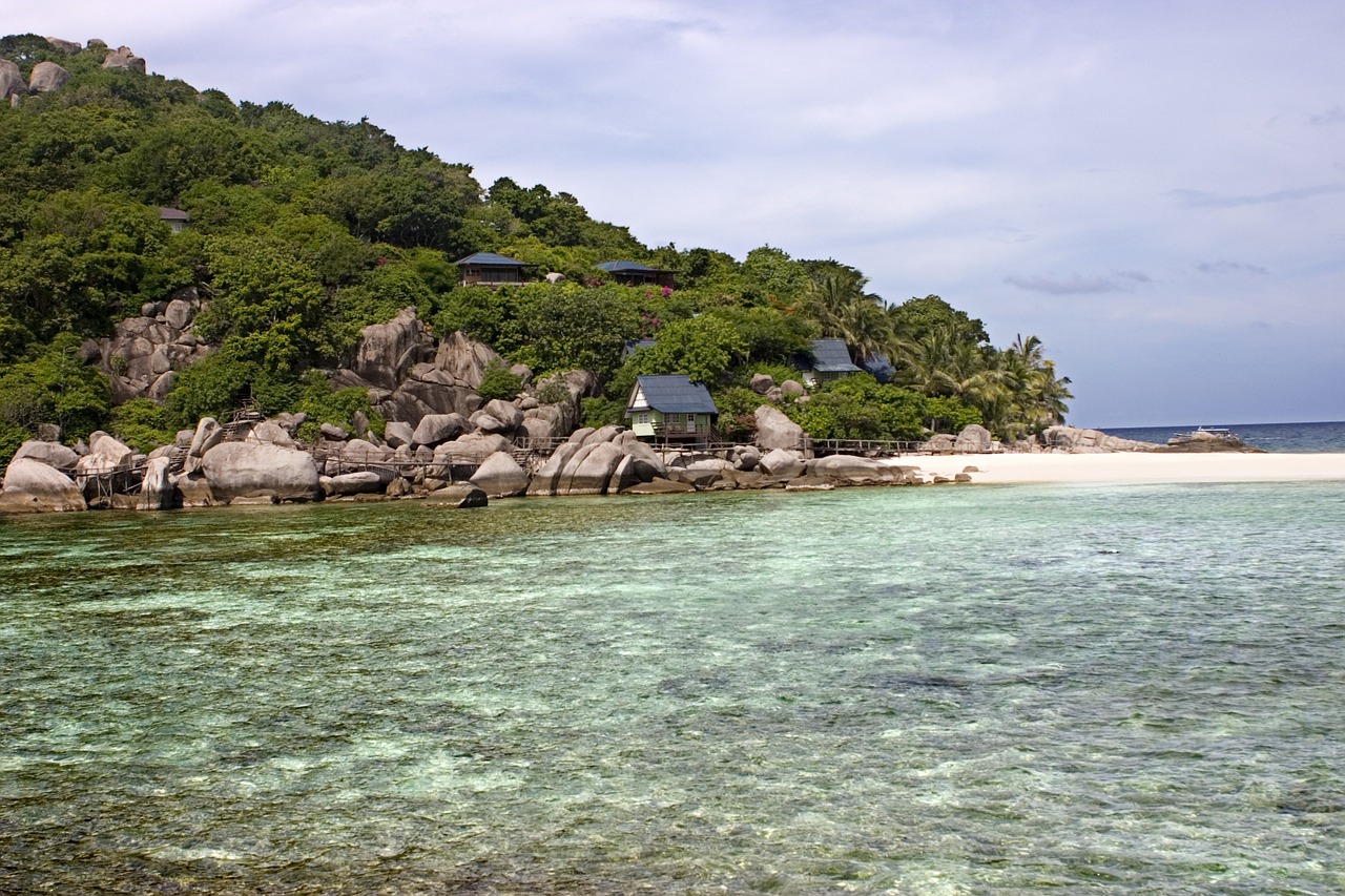 beach sand sea free photo