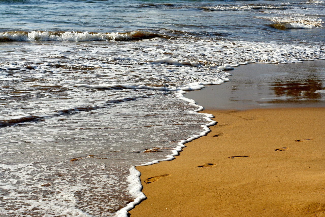 beach sand footprints free photo