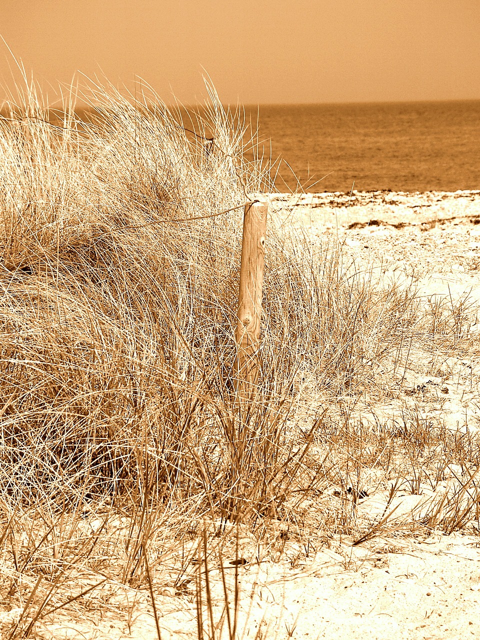 beach sand north sea free photo