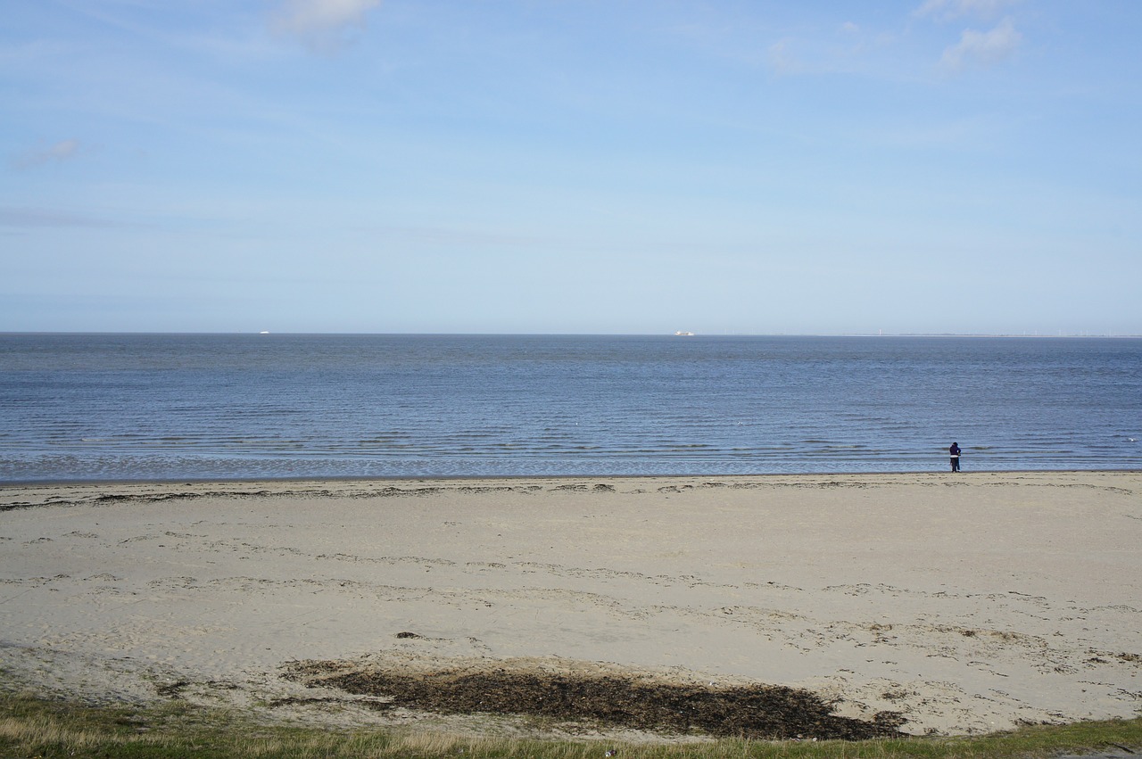 beach blue air free photo