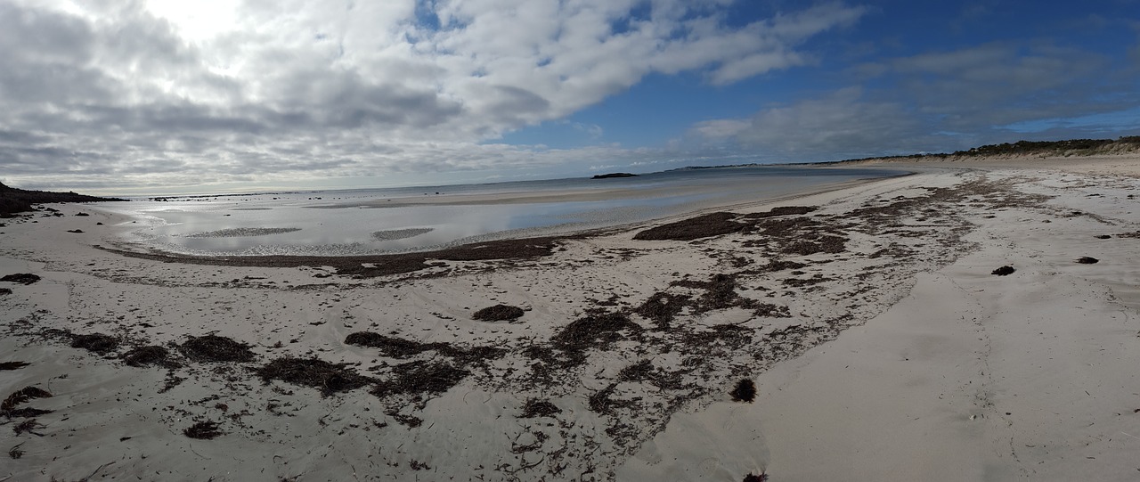 beach south australia surf free photo