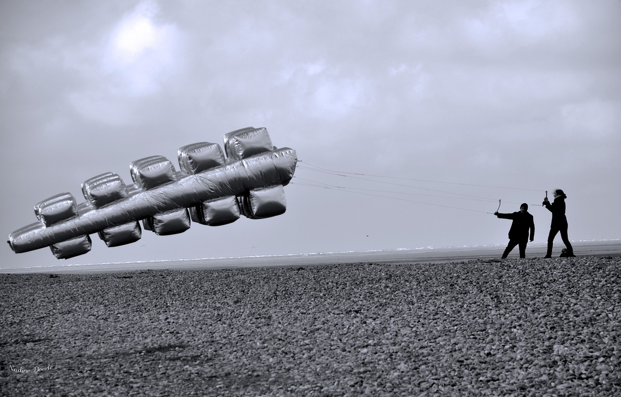 beach kite grey free photo