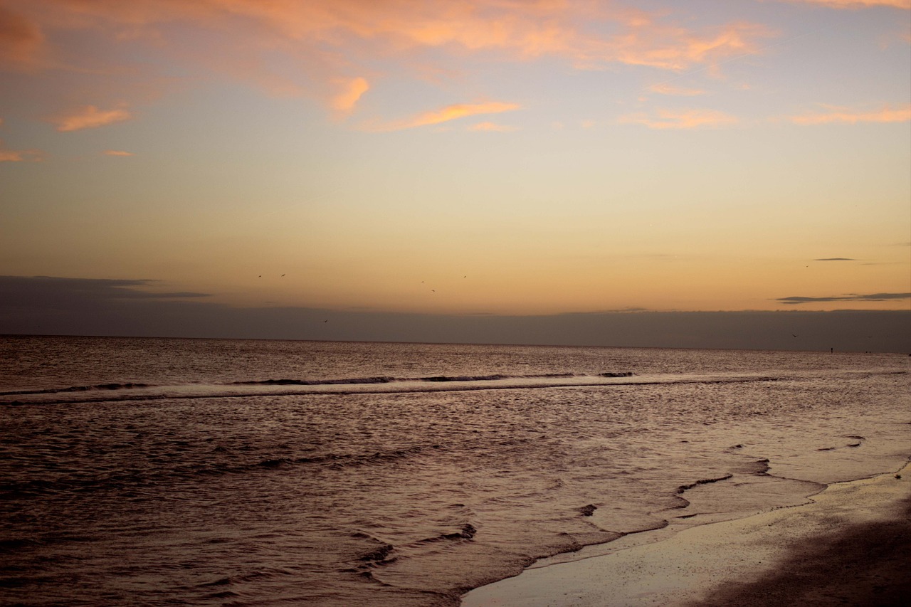 beach summer sunset free photo