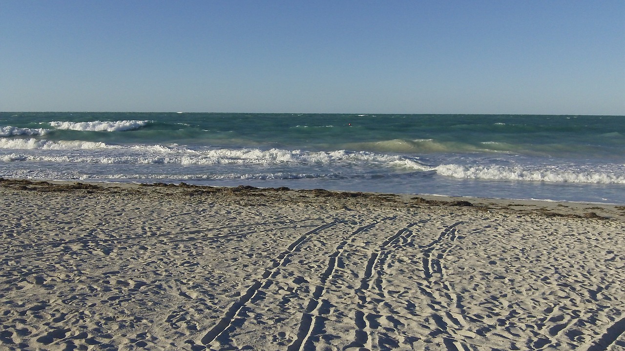 beach sea sand free photo