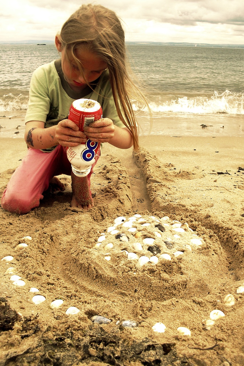 beach sand castle shells free photo