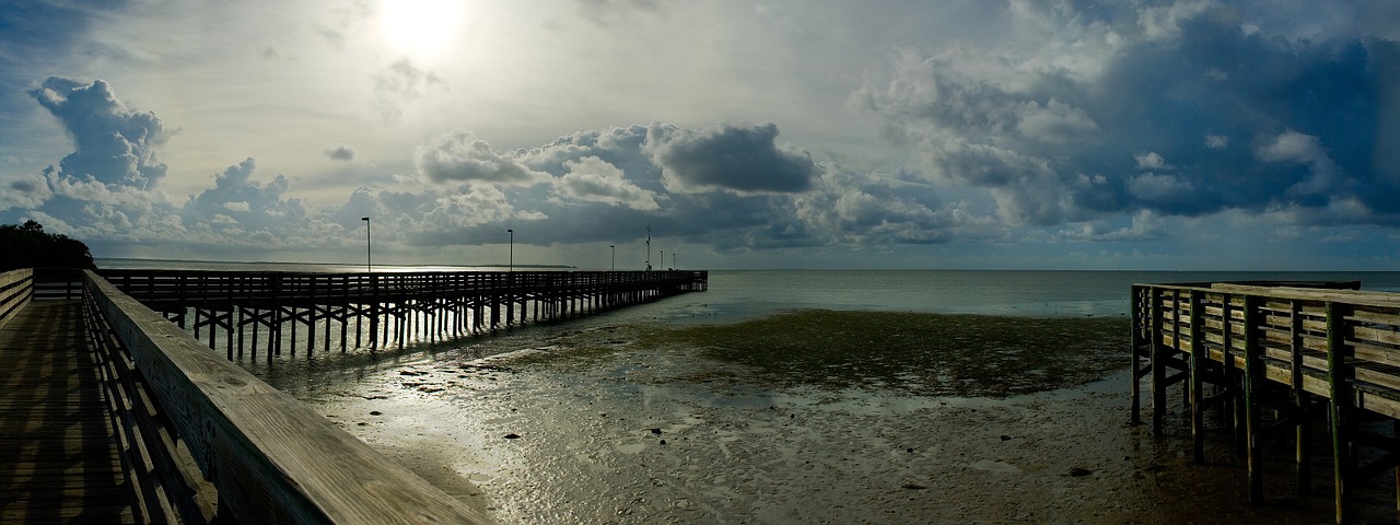 beach sky horizon free photo