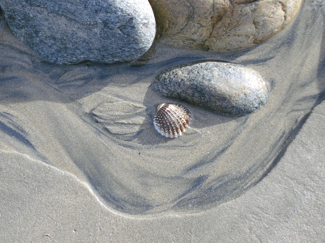 beach stones sand free photo