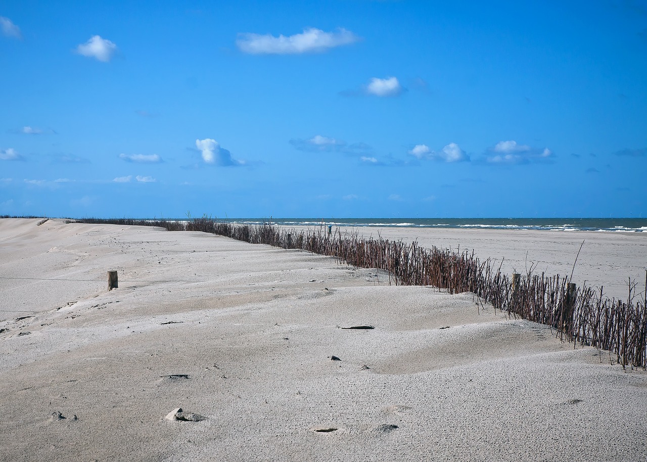 beach north sea holland free photo