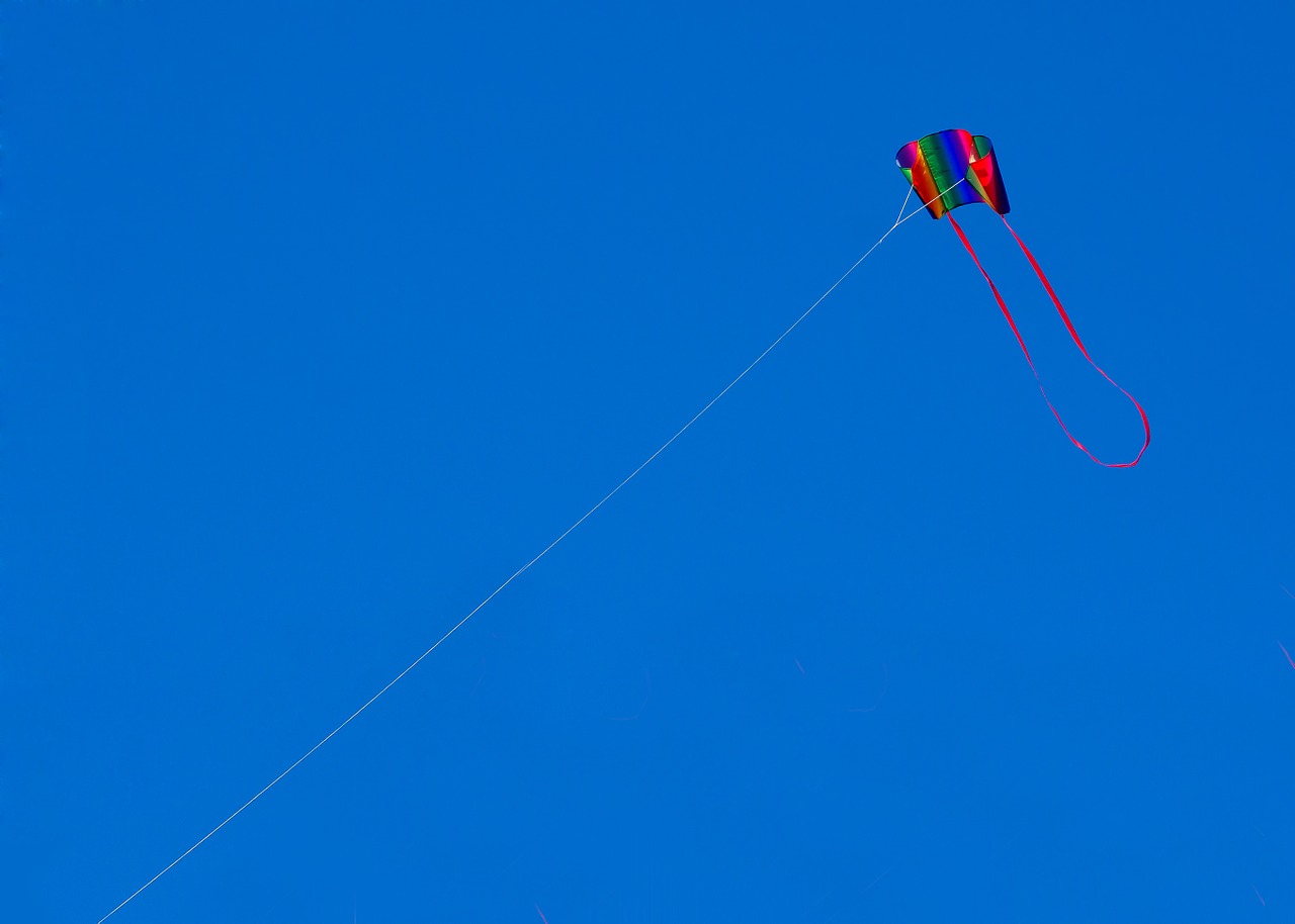 kite dragons wind free photo