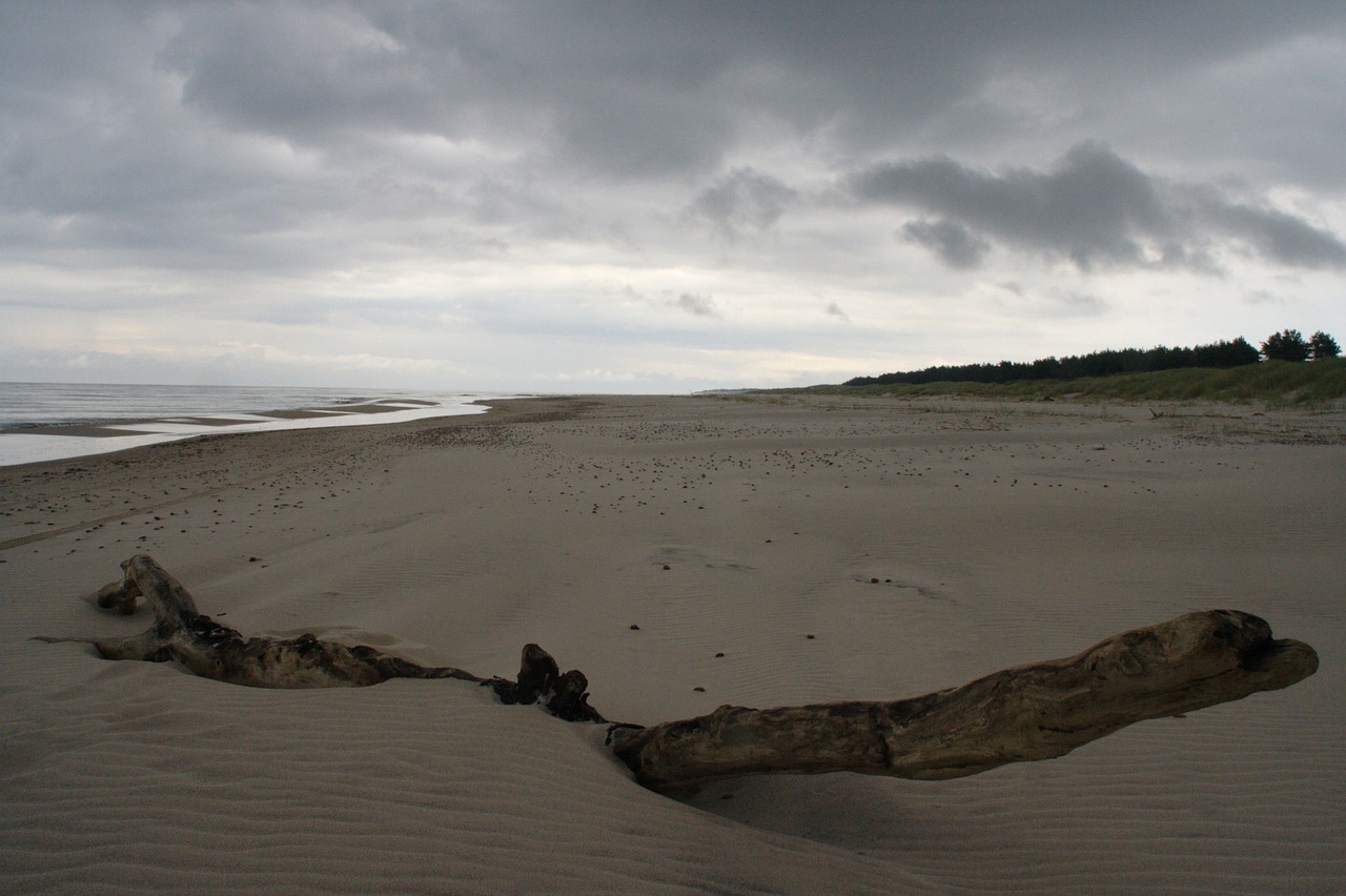 beach sand gloomy free photo