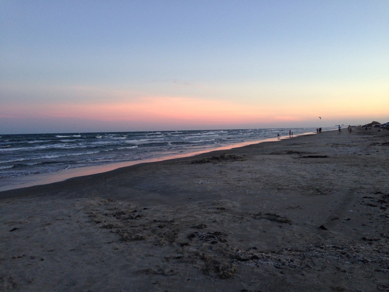 beach texas coast seashore free photo