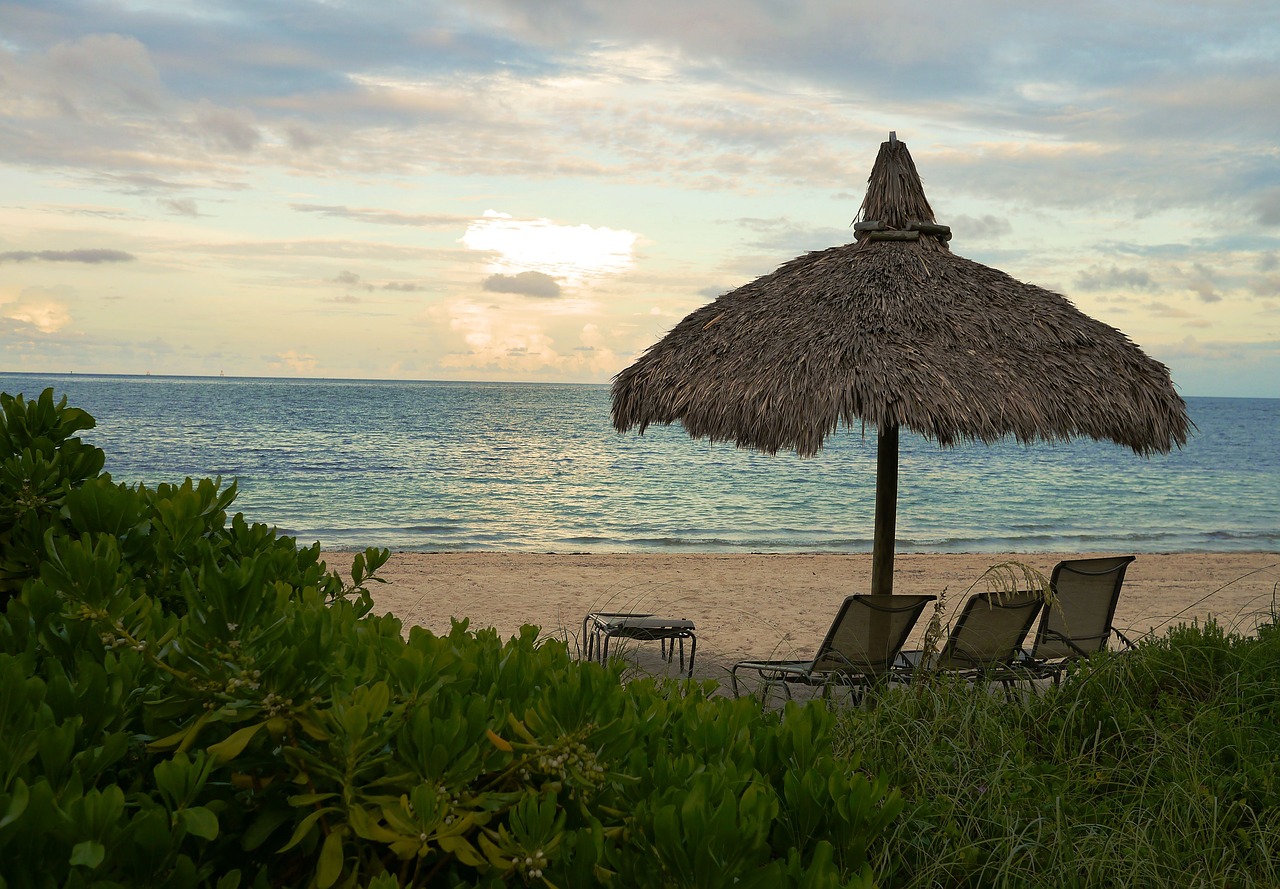 beach miami beach ocean free photo