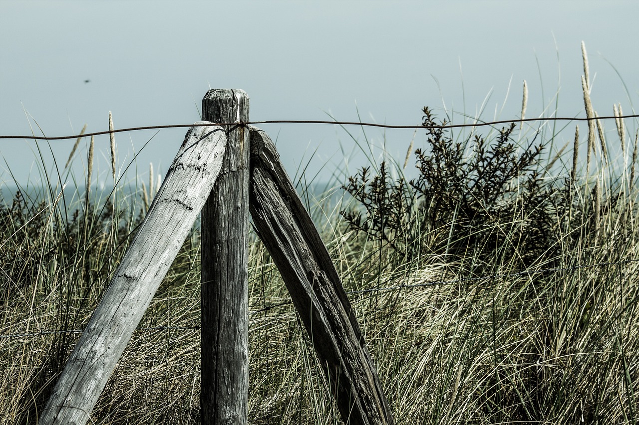 beach dune fence free photo