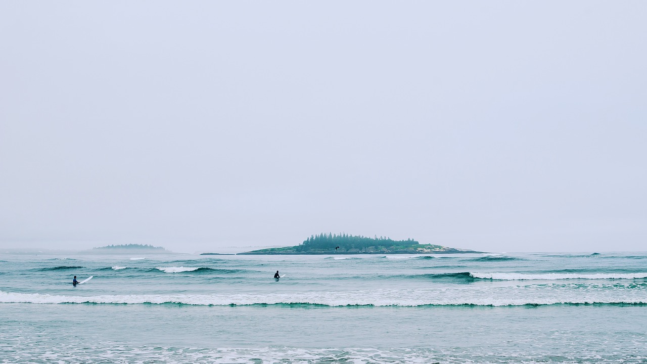 beach coast ocean free photo