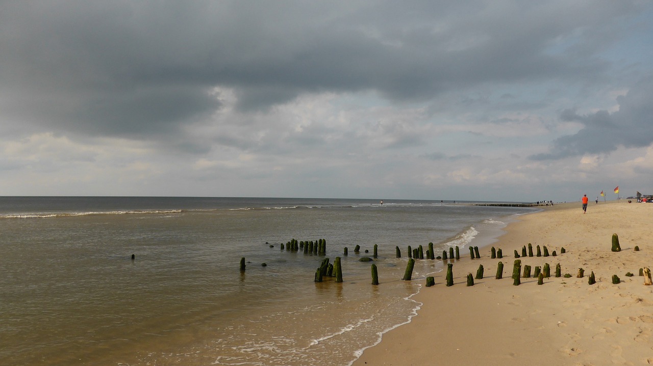 beach groynes north sea free photo