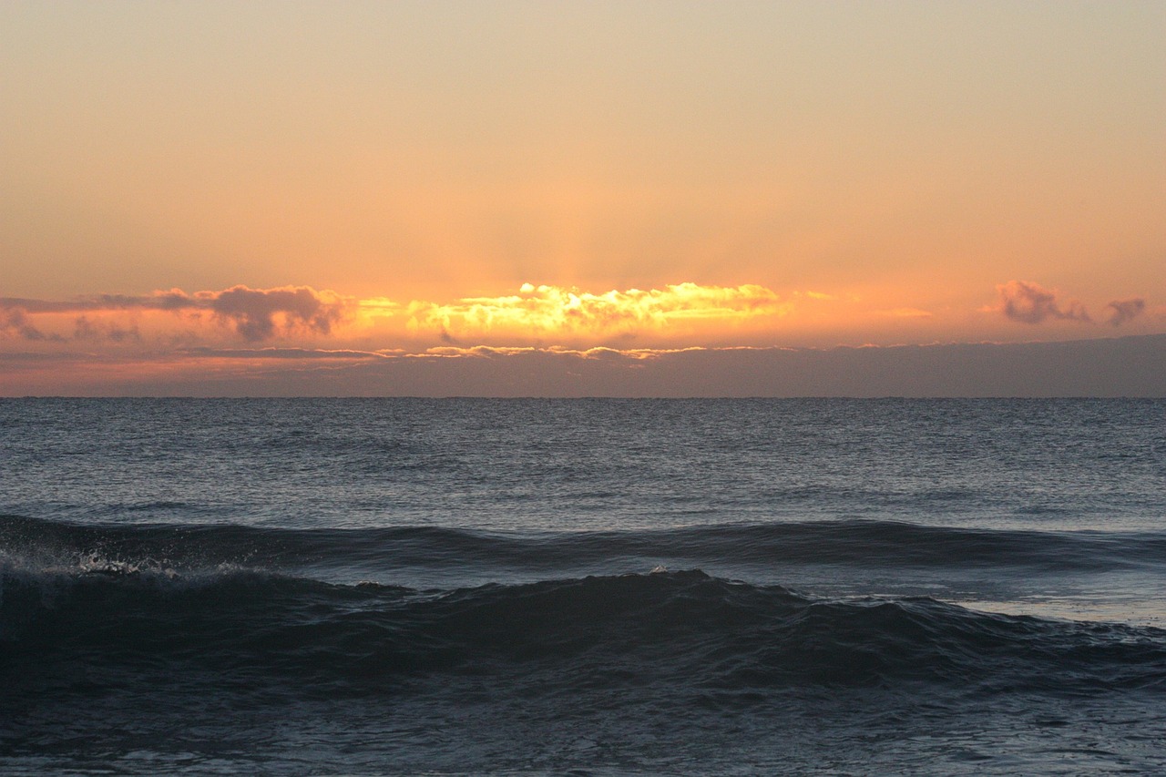 beach freedom summer free photo