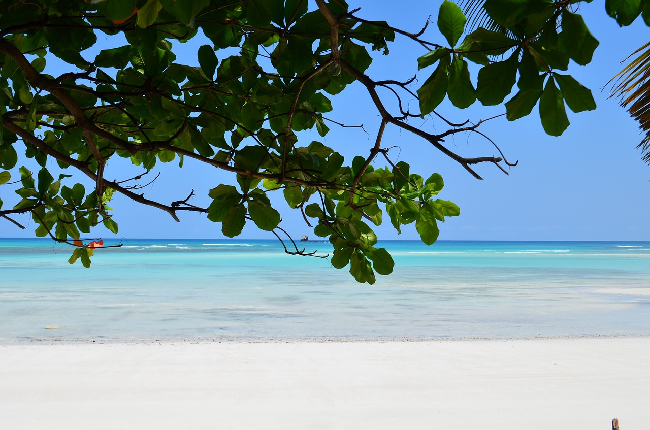 beach sea sand free photo