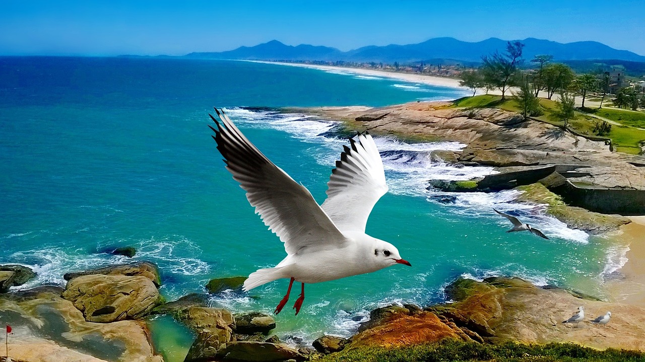 beach orla litoral free photo