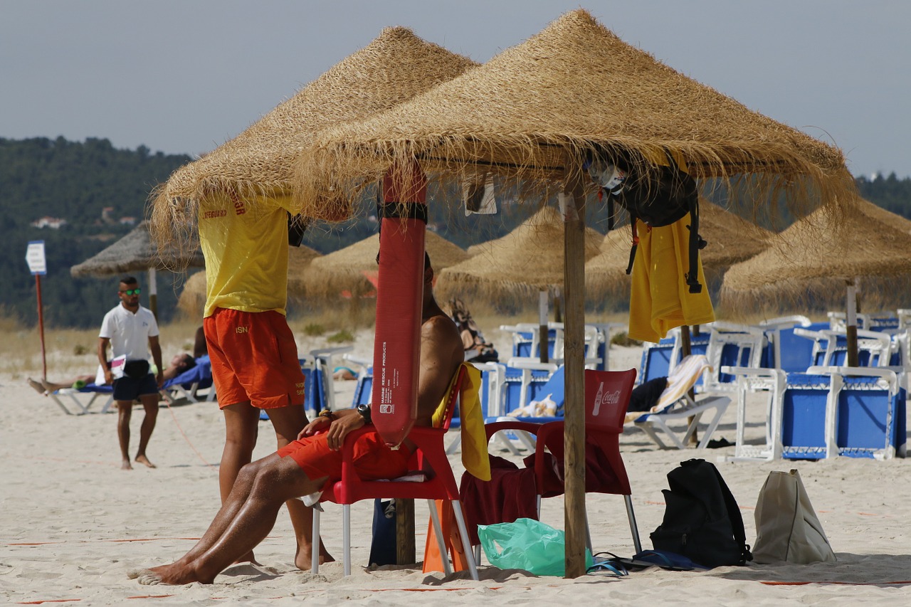 beach mar salvador free photo