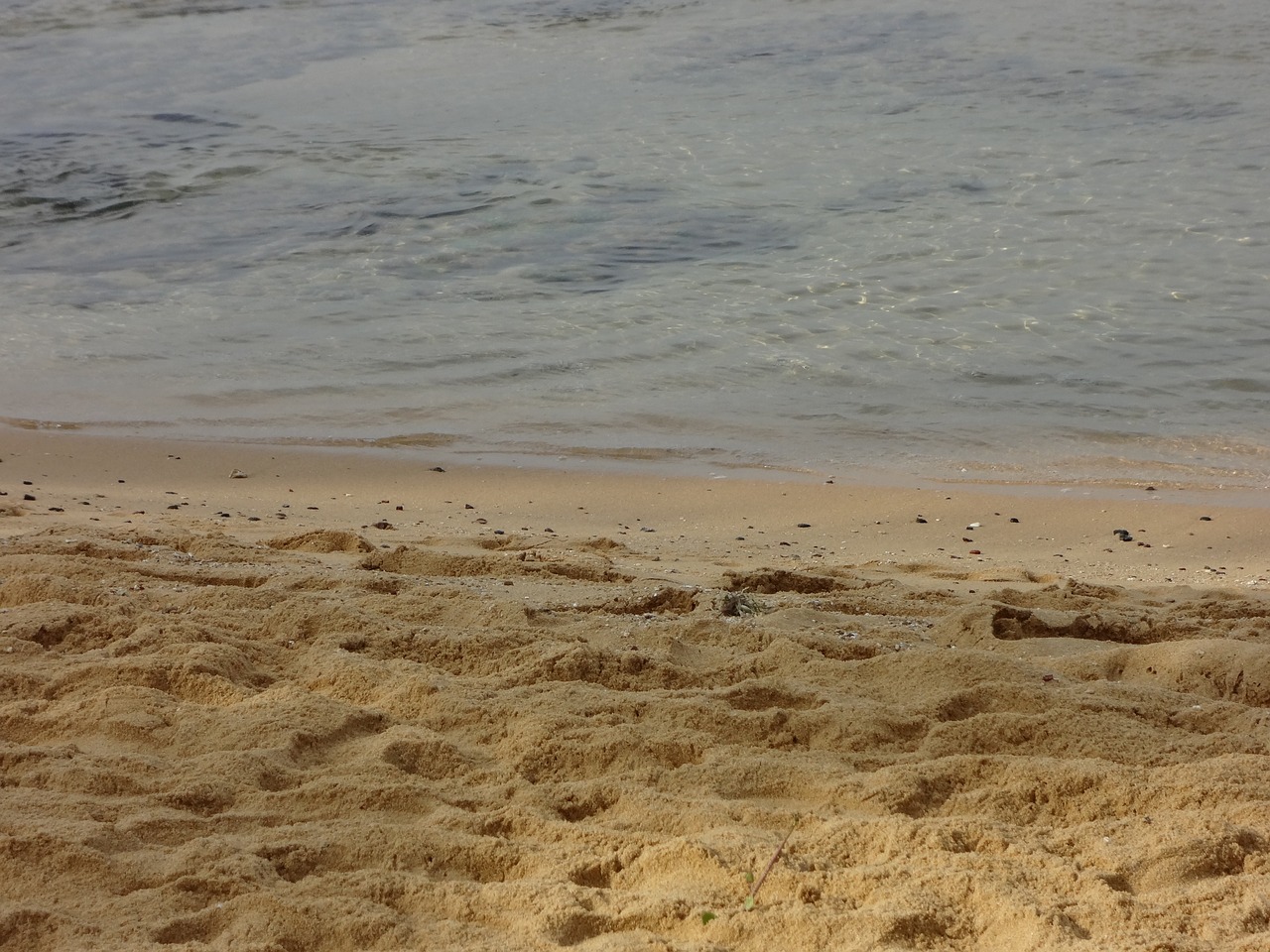 beach sand foot prints free photo