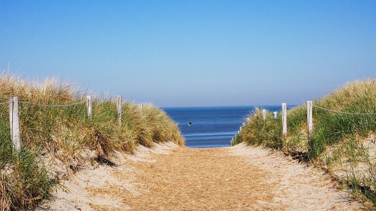 beach access  texel  dunes free photo
