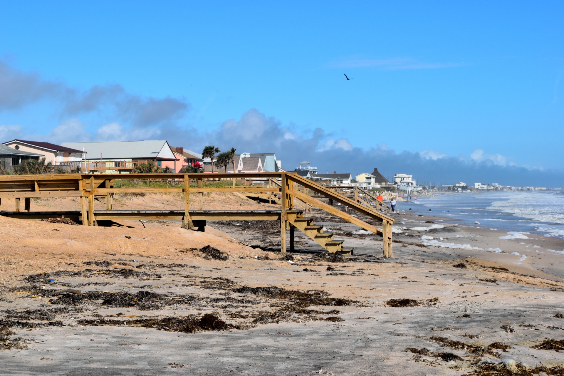beach landscape hurricane irma debris free photo