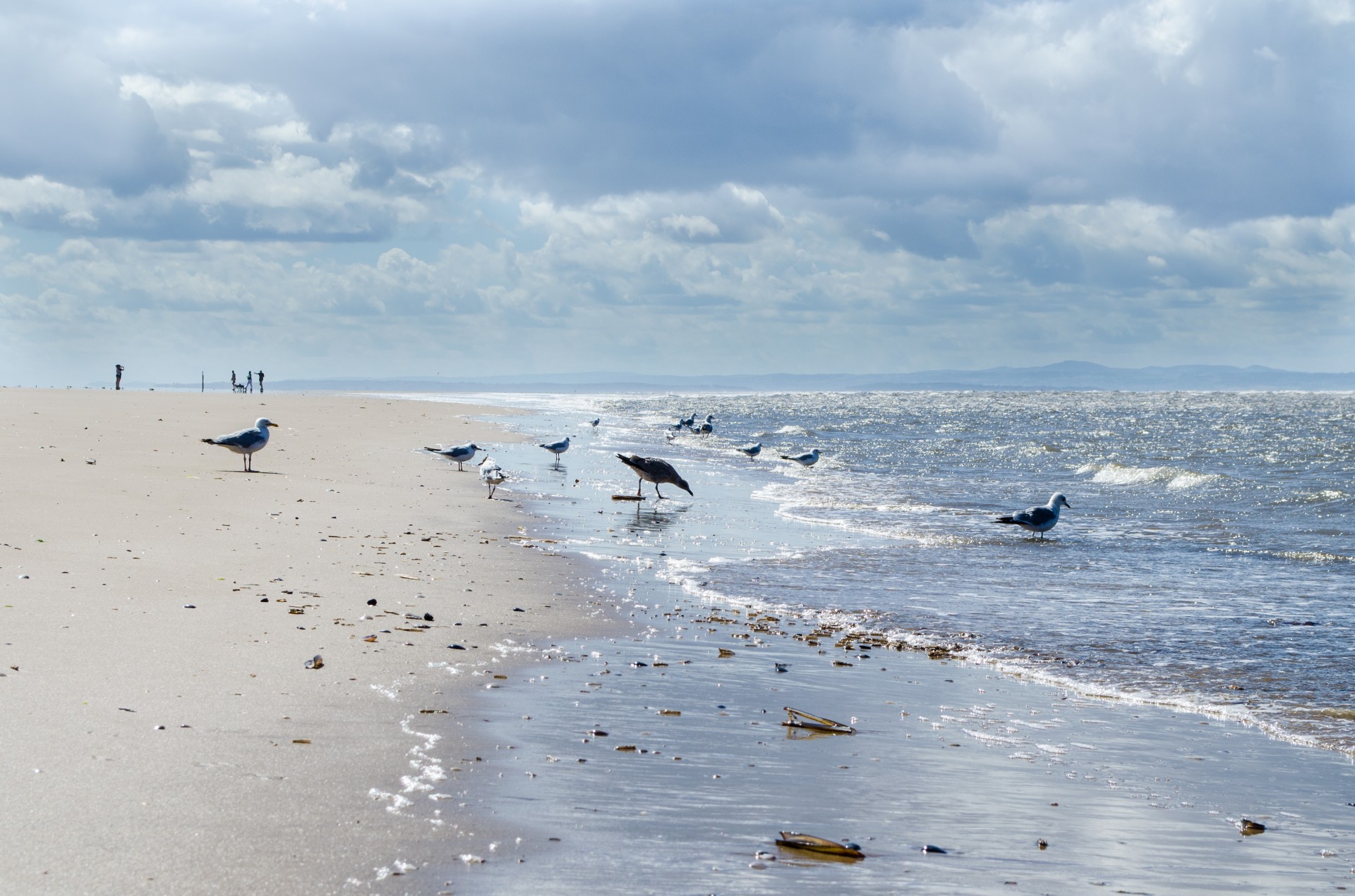 sea water ocean free photo