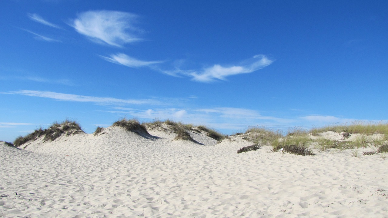 beach are hyacinth portugal city aveiro free photo