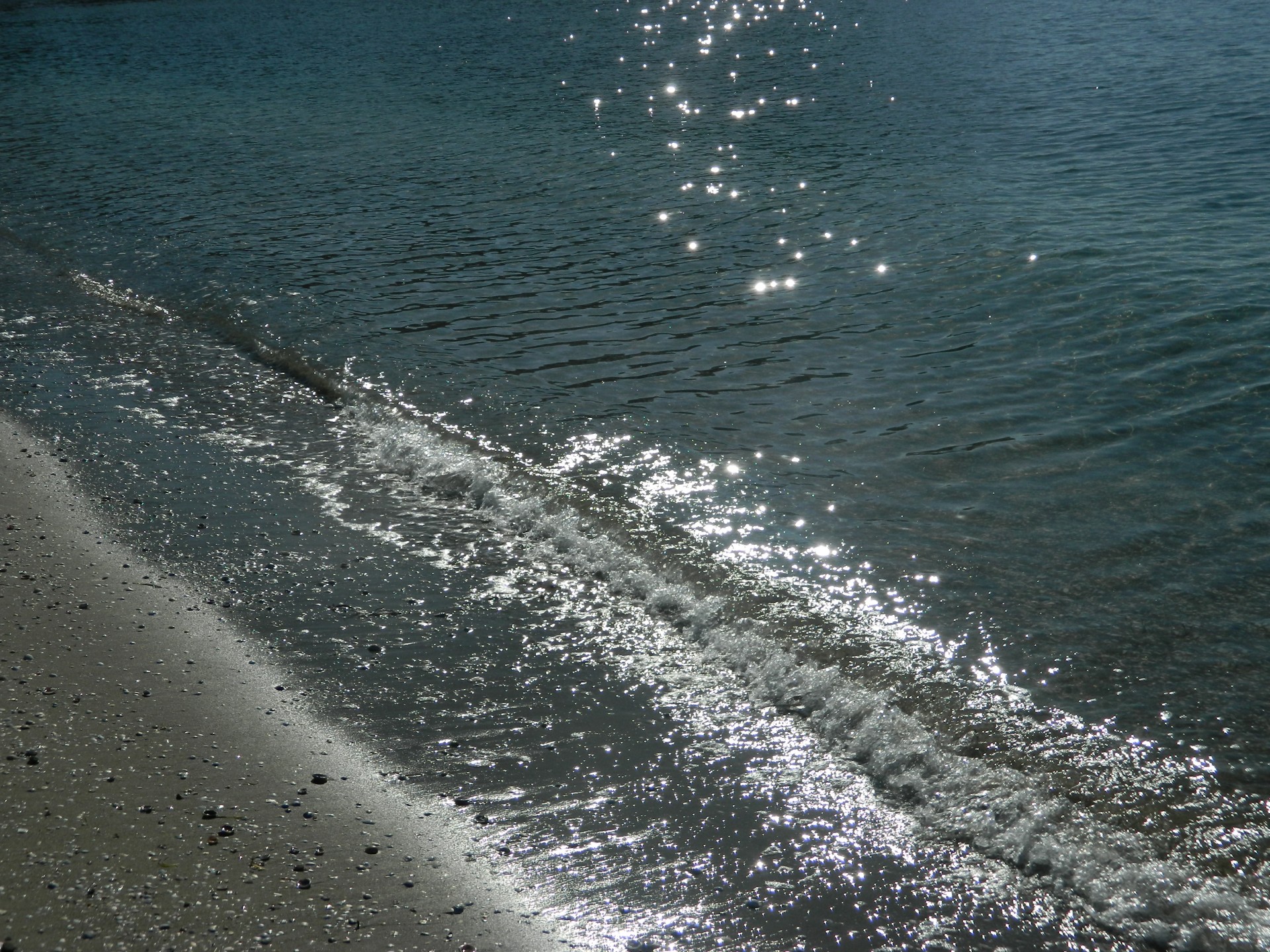 beach sea background free photo