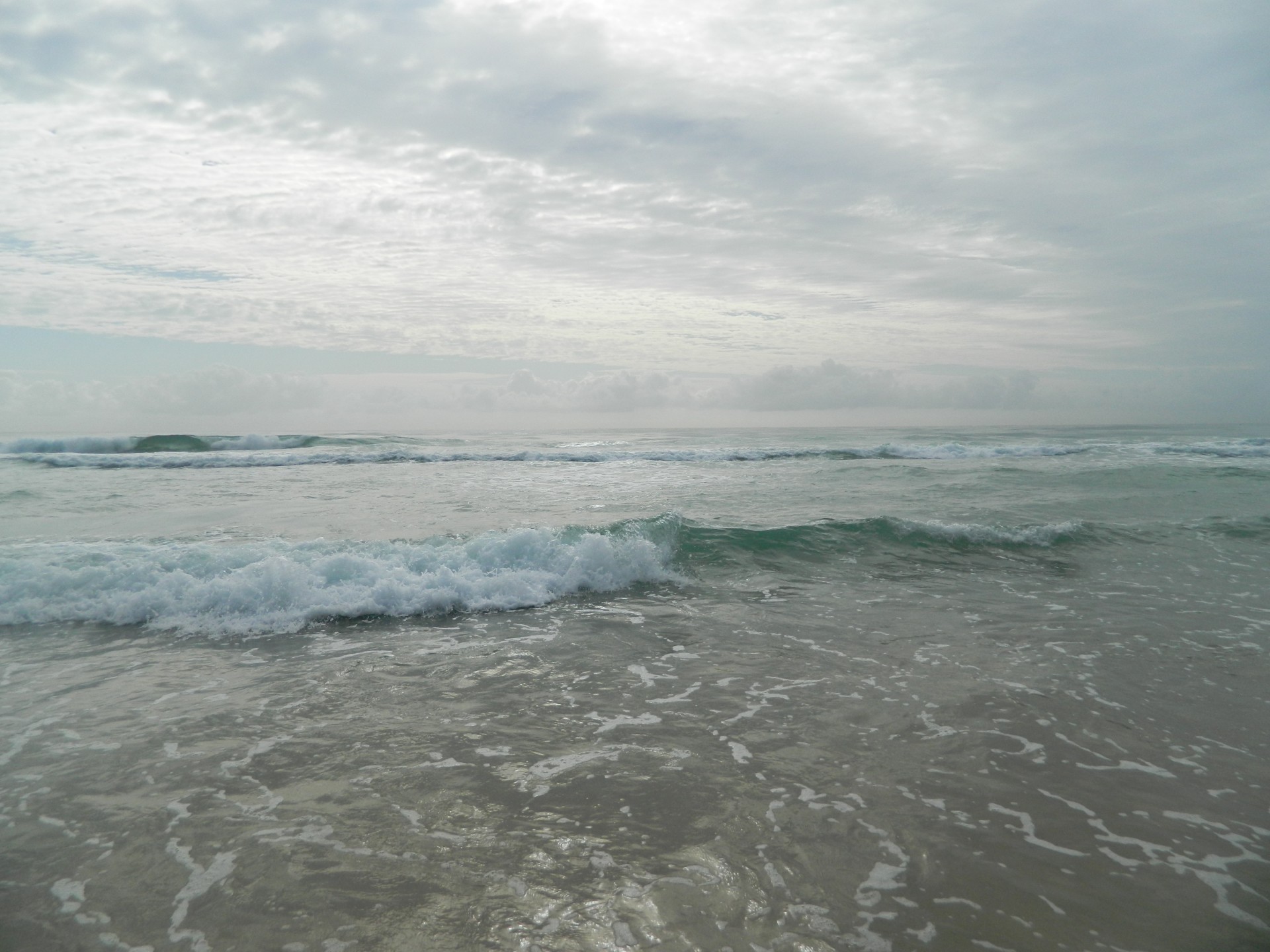 beach sea sand free photo