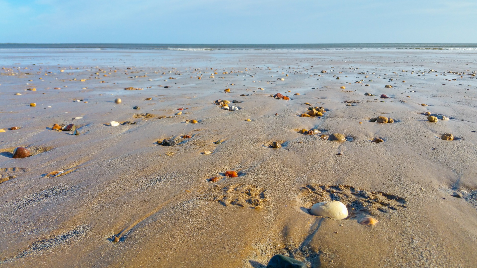 background beach blue free photo