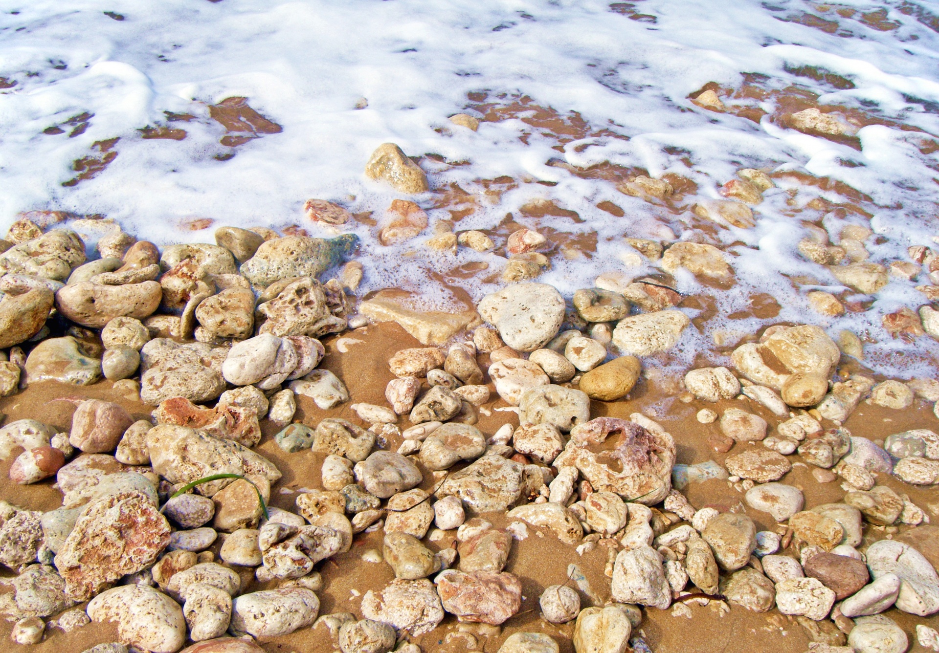 beach background ocean free photo