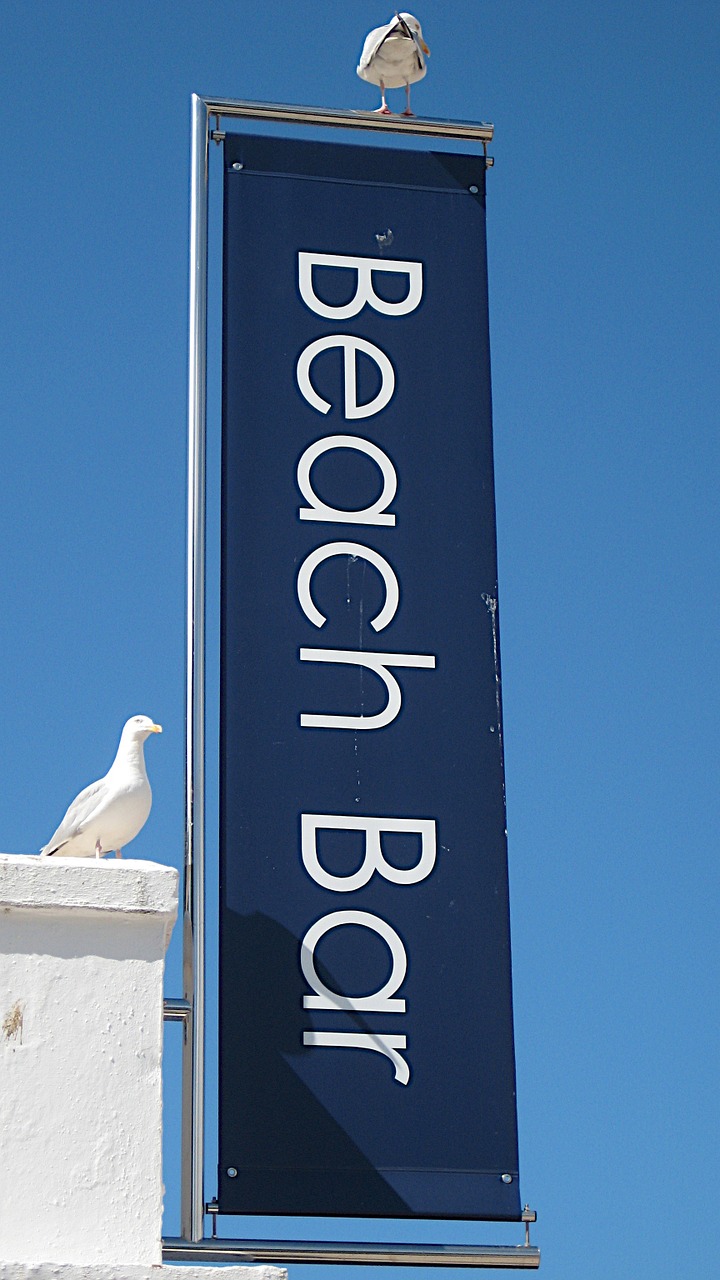 beach bar seagull st ives free photo