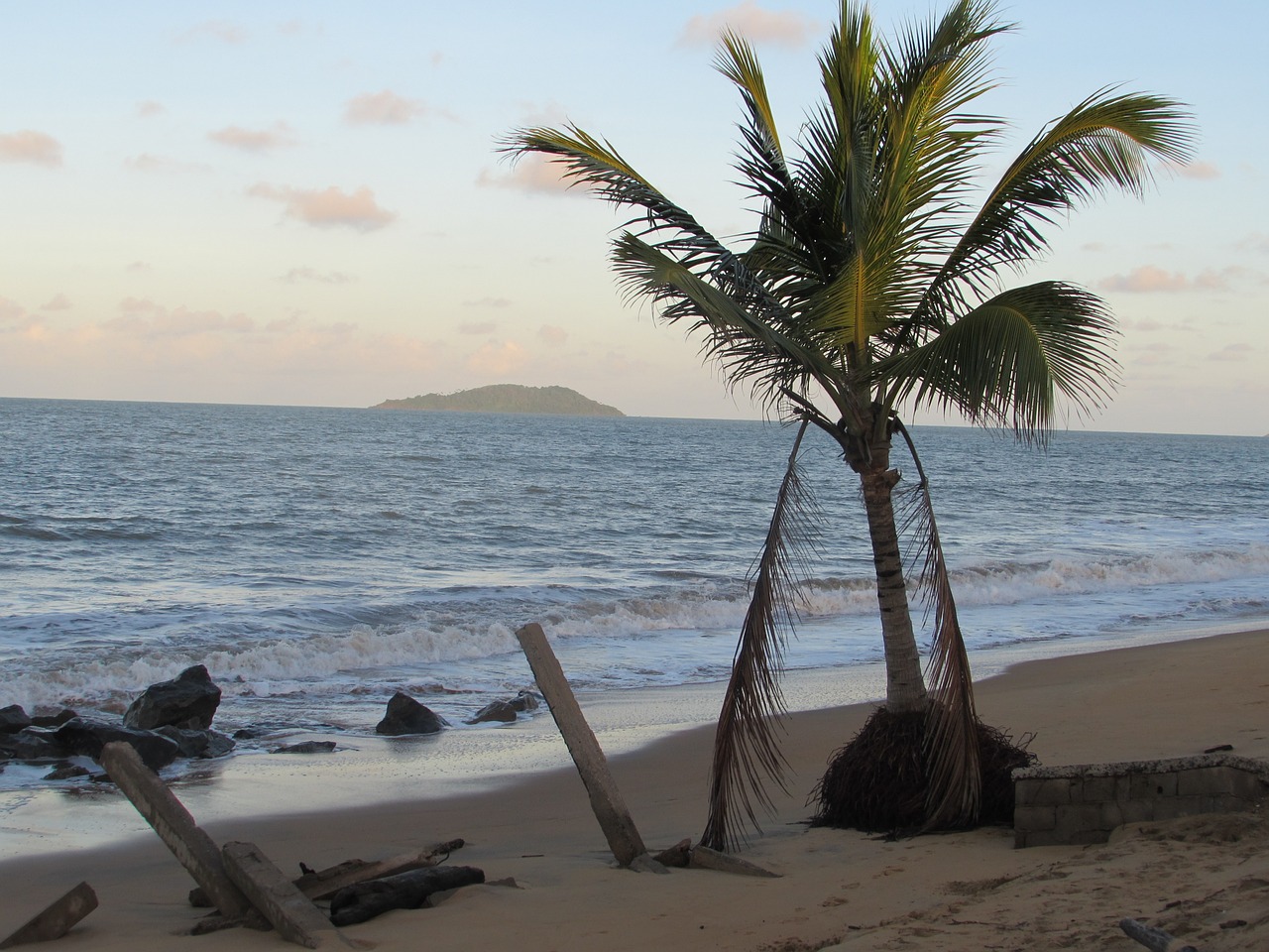 beach bourda cayenne french guiana free photo