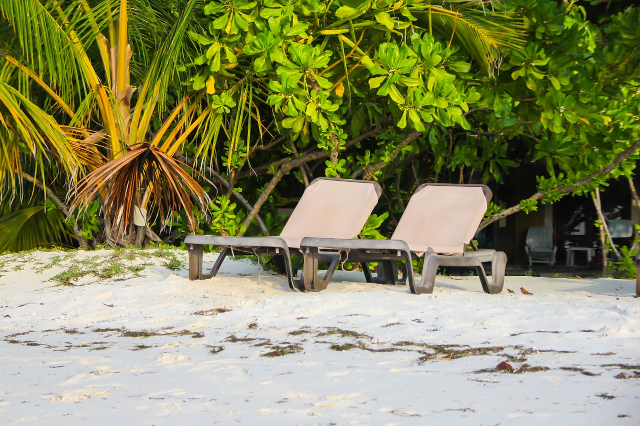 beach chair palm beach free photo