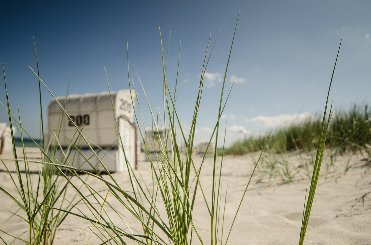 beach chair dunes beach free photo