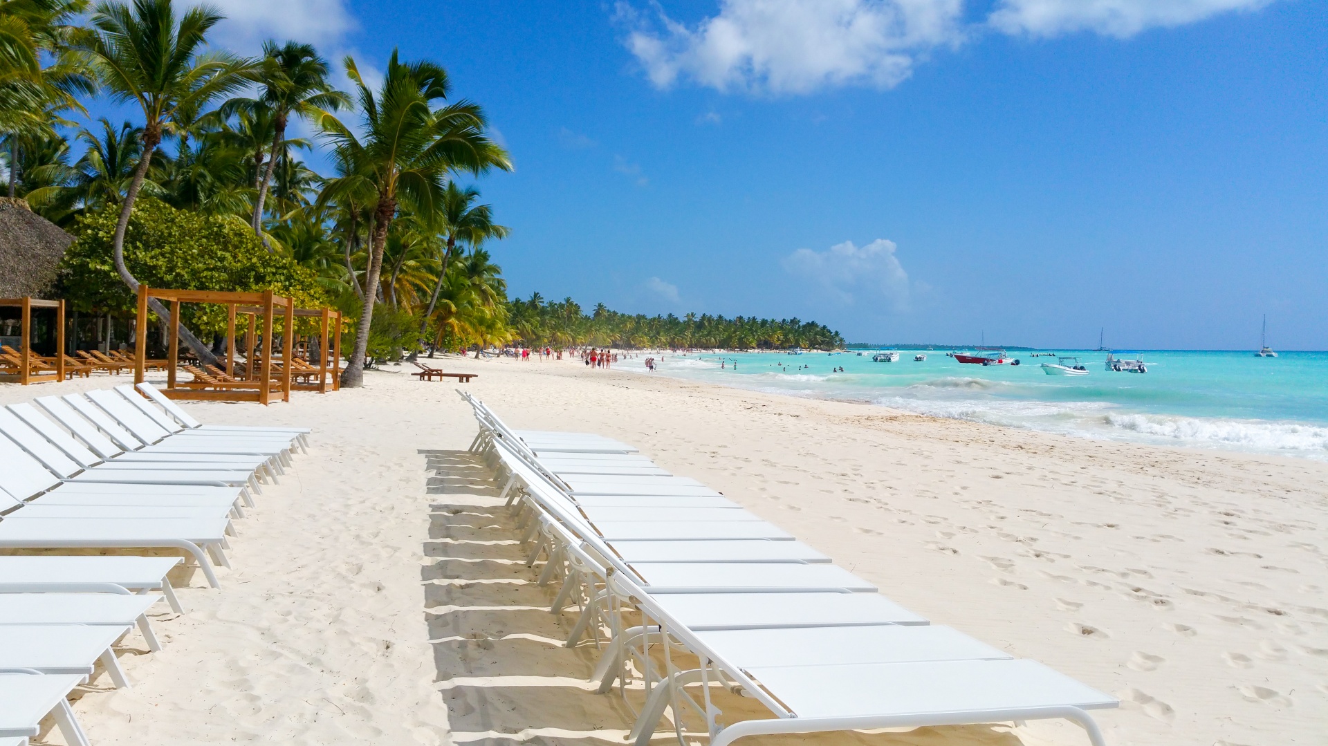 beach blue caribbean free photo