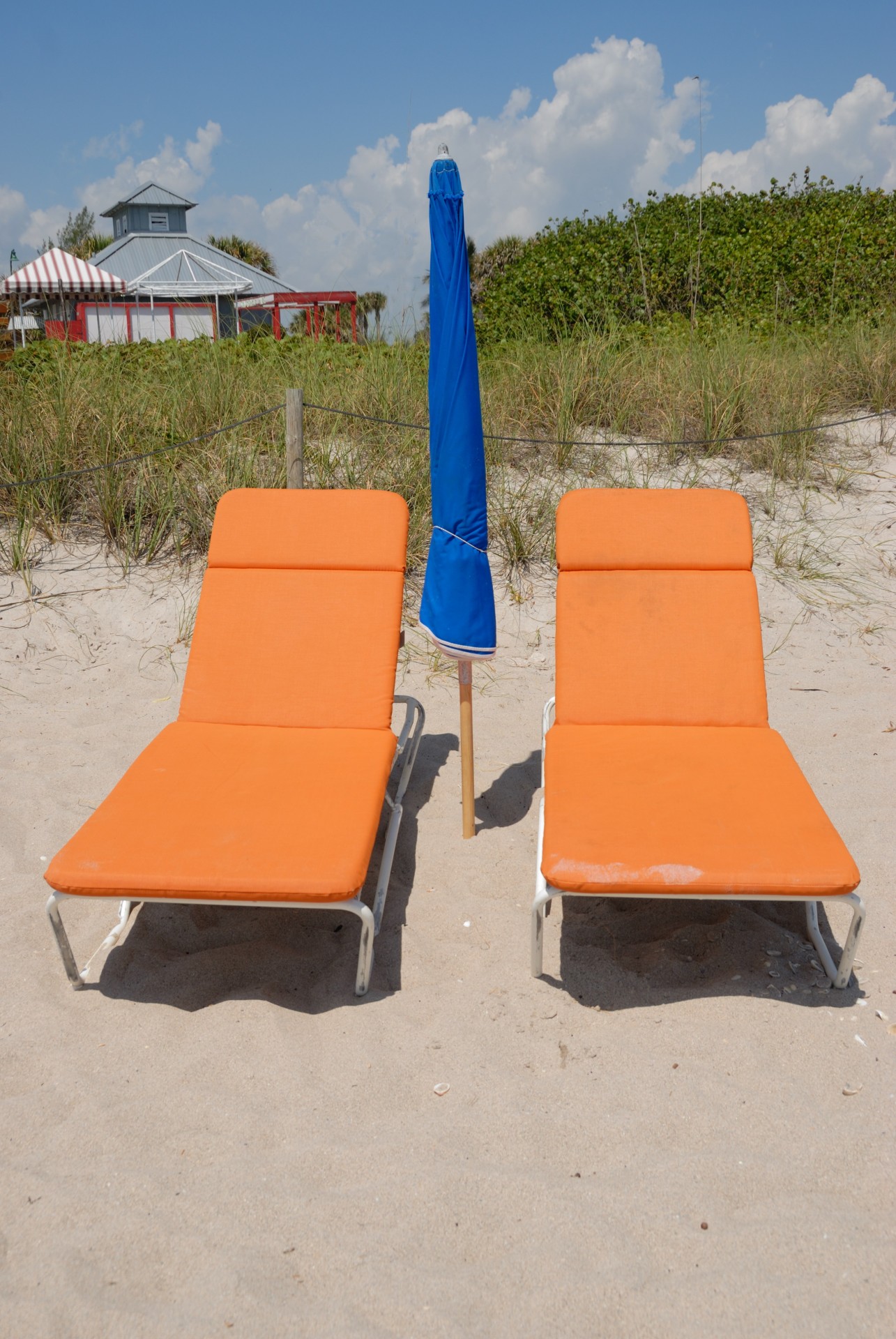 chairs beach umbrella free photo