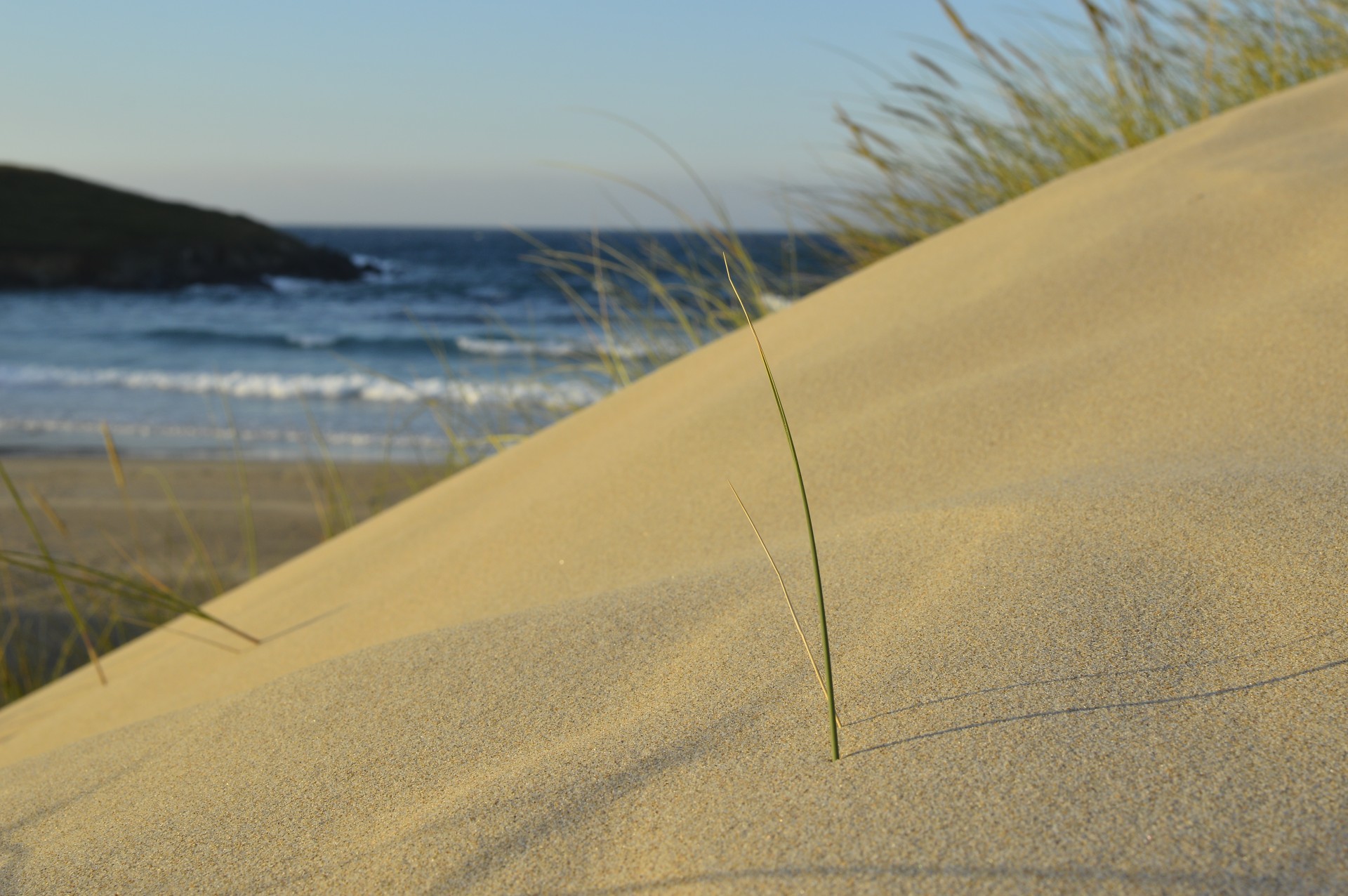 beach dunes beach dunes free photo