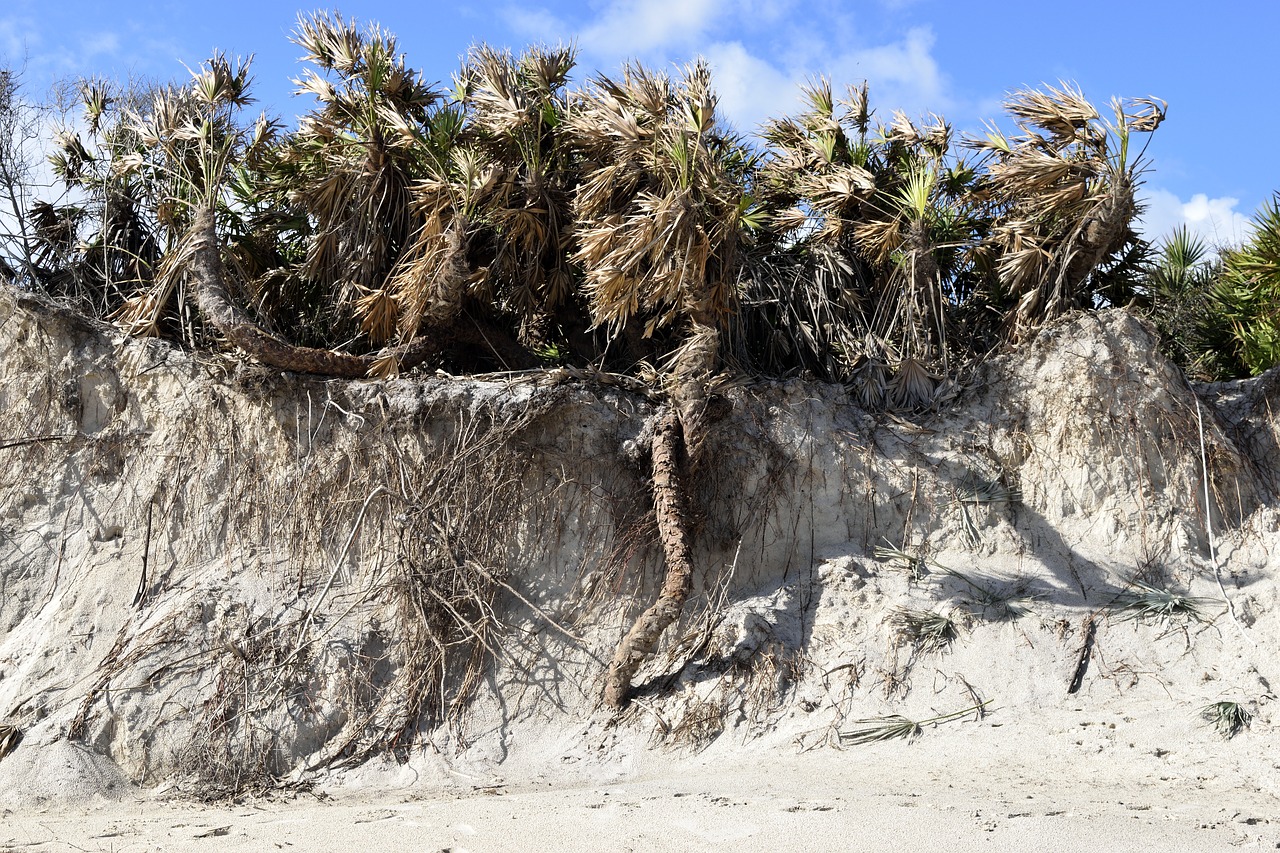 beach erosion hurricane matthew damage free photo