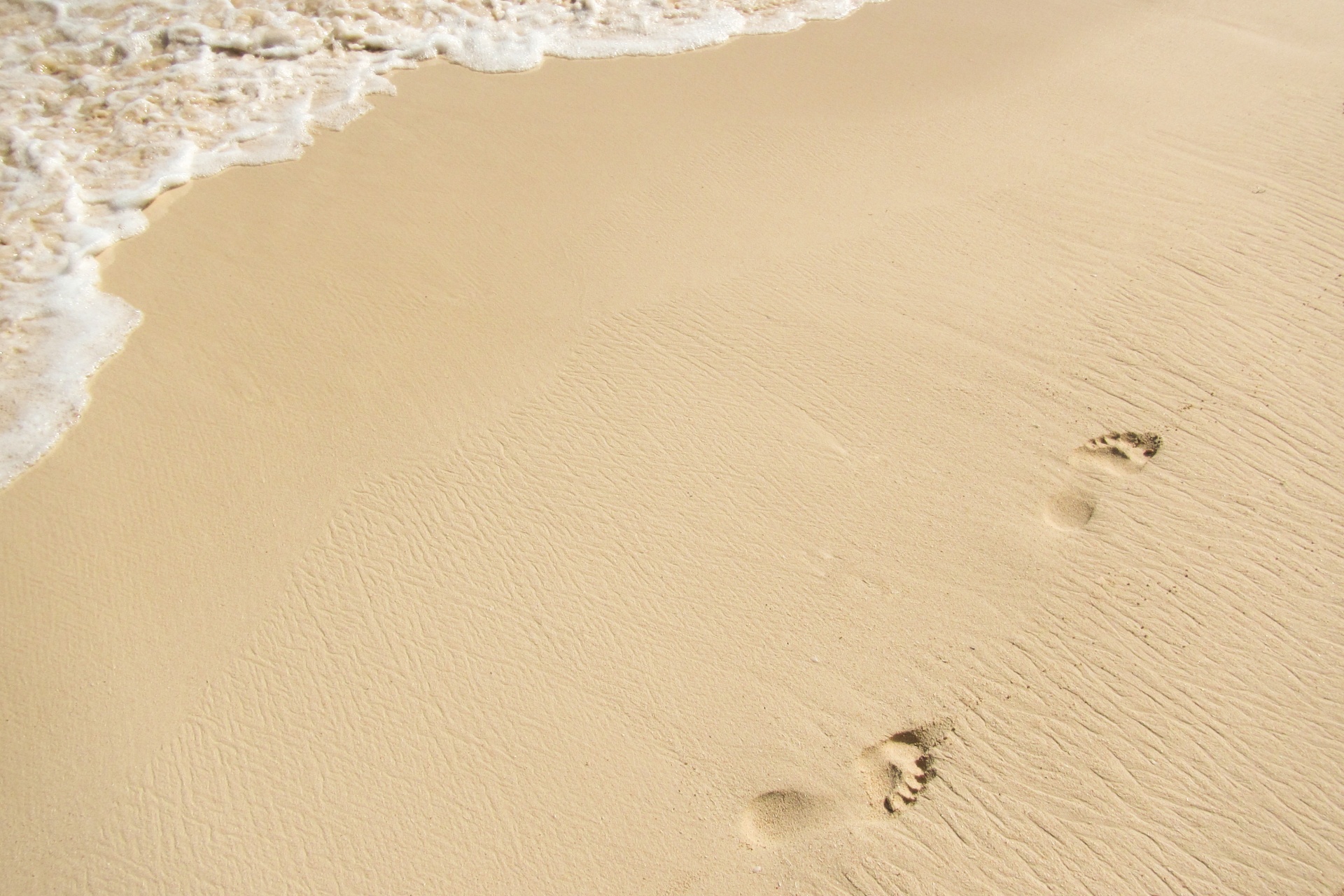 barefoot beach foot free photo