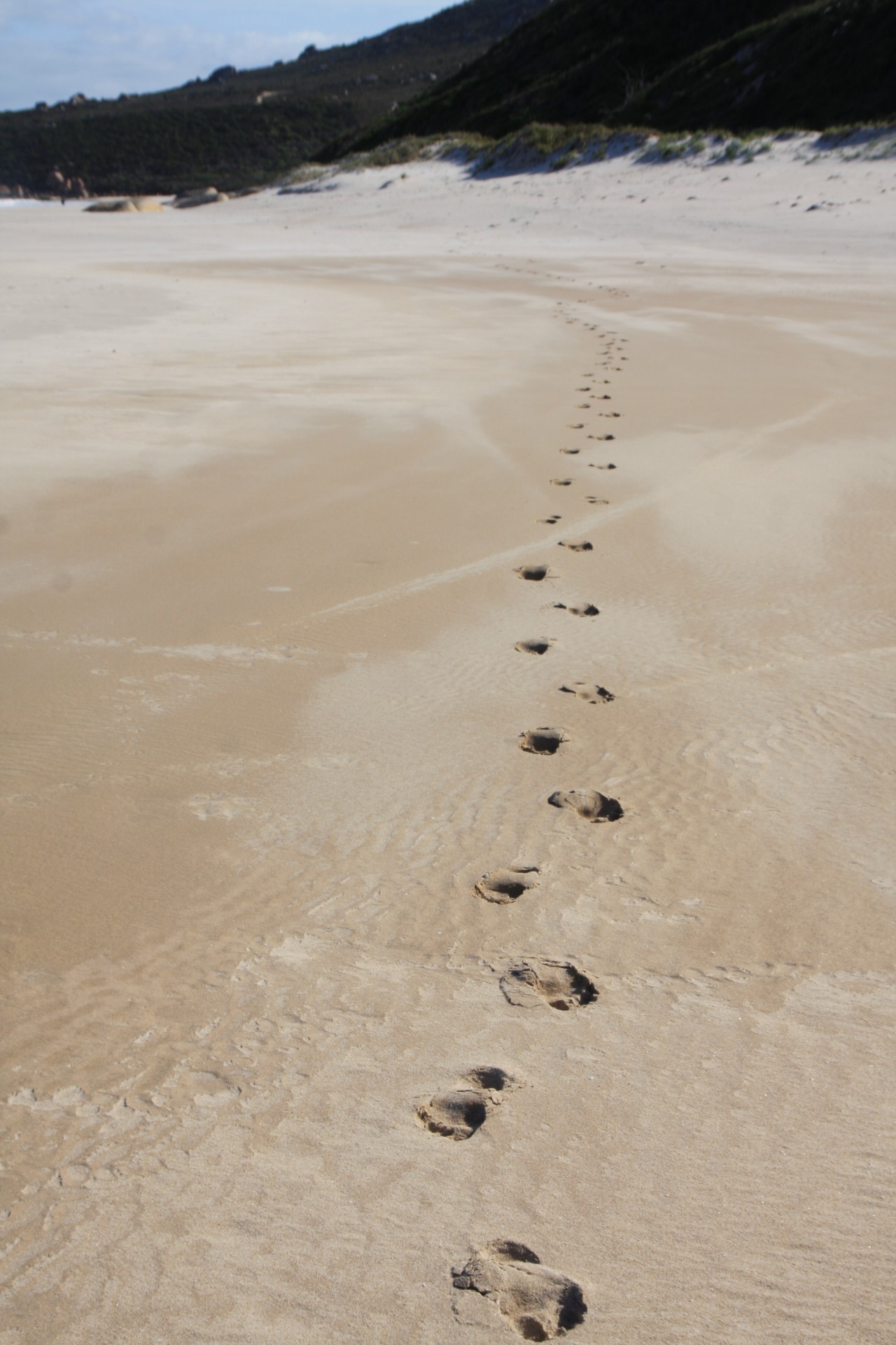 footprints beach beach footprints free photo