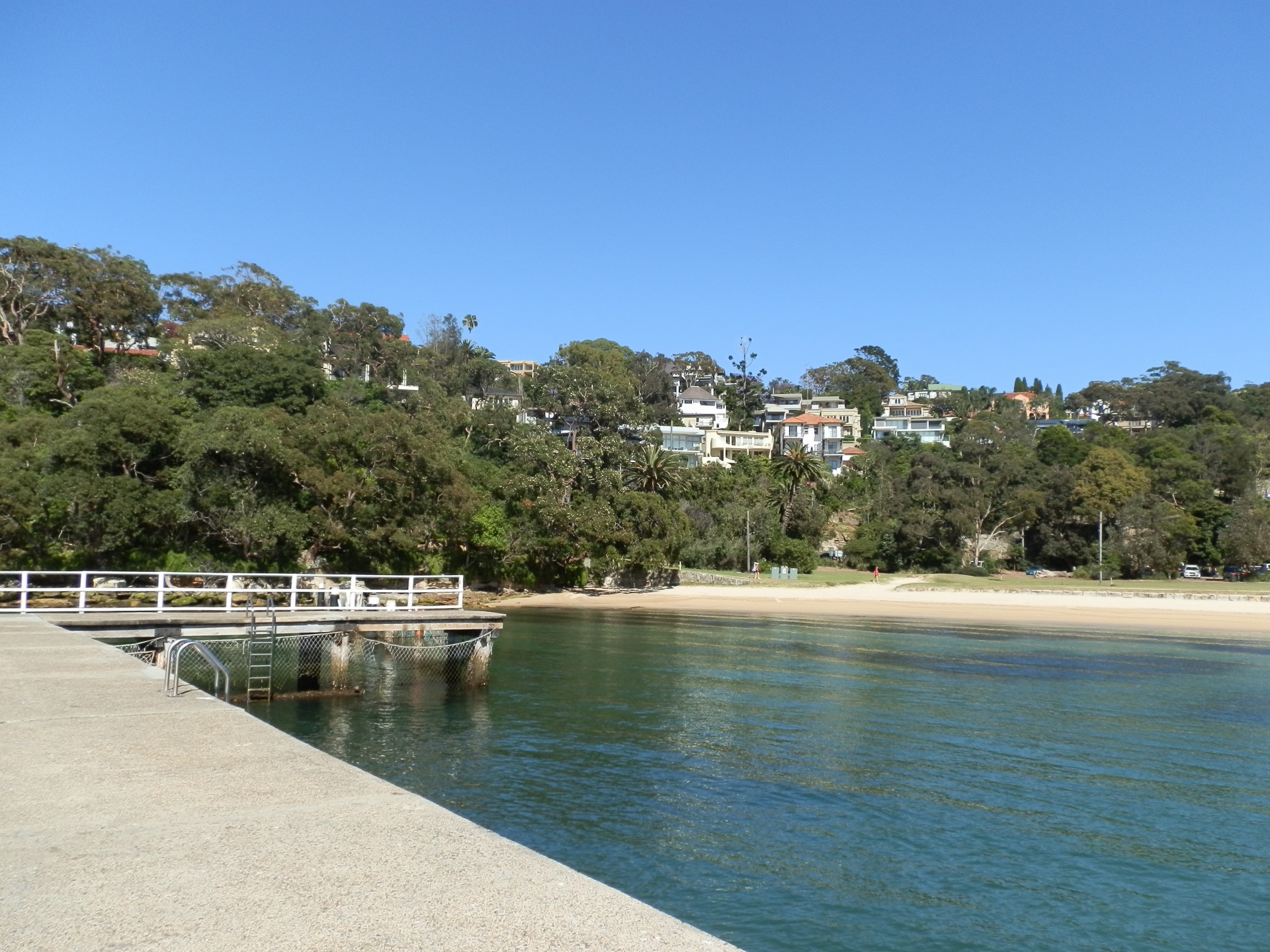 beach pier beach from a pier free photo