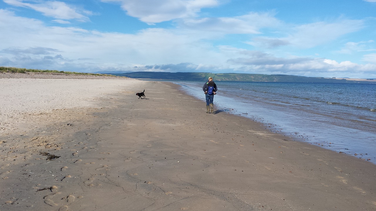 beach highlands scotland dogwalk free photo